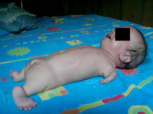 imagen t2.jpg (17524 bytes)